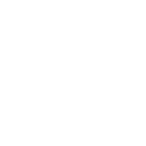 PICEA Logo_2023_WEB_WEISS